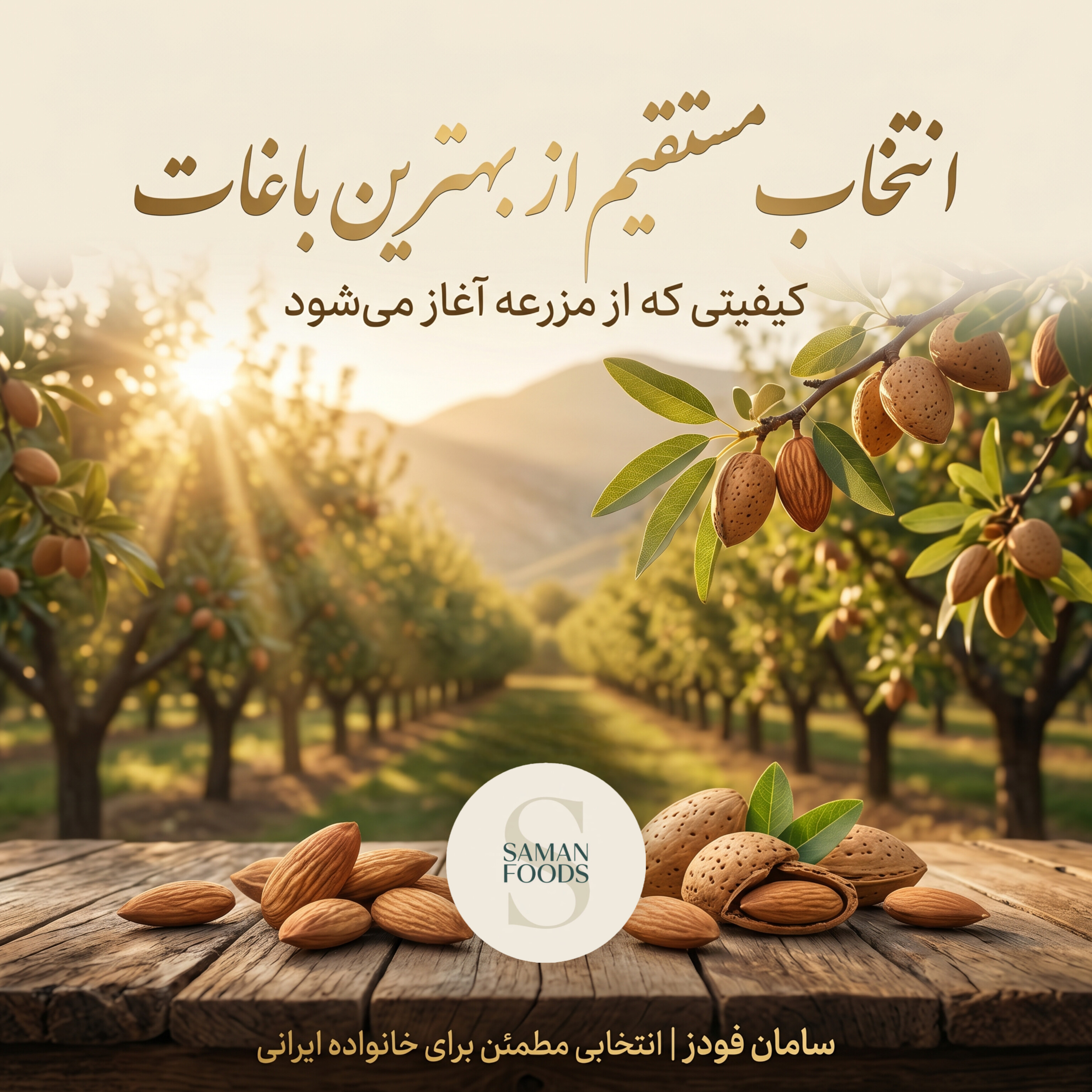 چرا سامانفودز؟