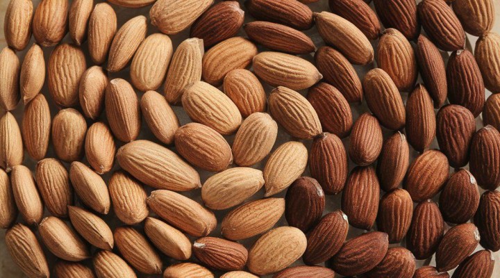 فراوری مغز بادام فراوری مغز بادام