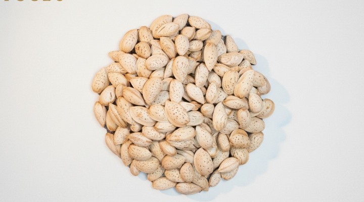 بادام کاغذی (محب) بادام کاغذی (محب)