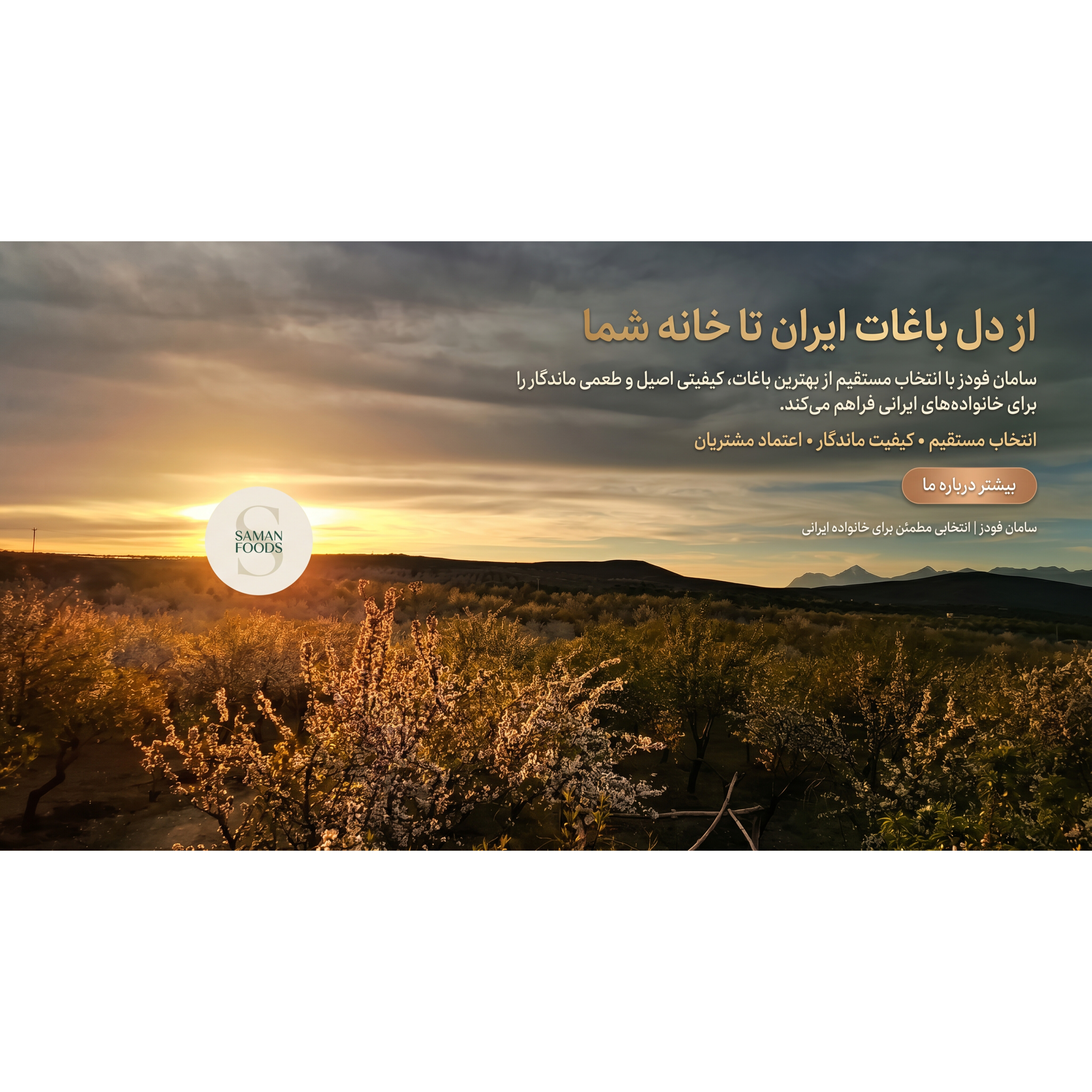 داستان سامانفودز